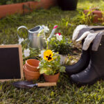 Decoração de jardim