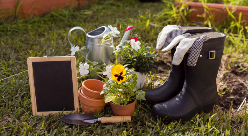 Decoração de jardim
